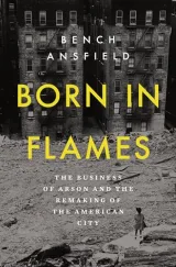 Cover of Born in Flames