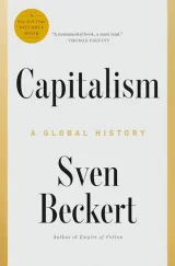 Cover of Capitalism